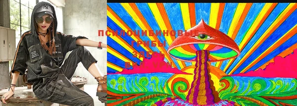 прущие крисы Алексеевка