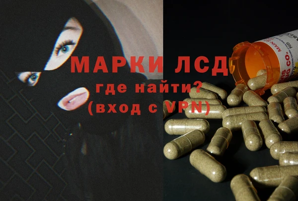 ПСИЛОЦИБИНОВЫЕ ГРИБЫ Алзамай